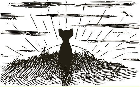 Cat and Sunrise